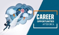 5 Best Jobs after BCA