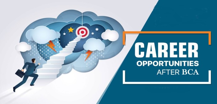 5 Best Jobs after BCA